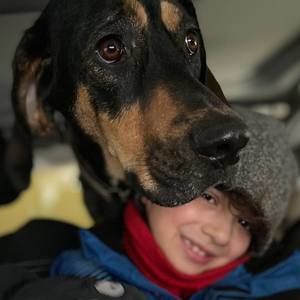 Meet your Posher, Jo